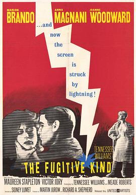 逃亡者 The Fugitive Kind.1960 字幕下载