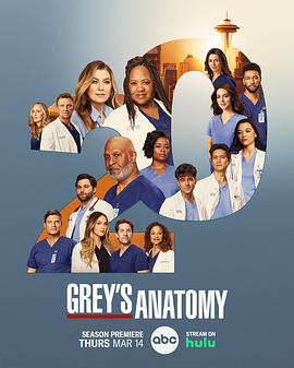 实习医生格蕾 第二十季 Grey’s Anatomy Season 20.2024 字幕下载