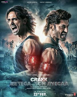 生死极限 Crakk - Jeethegaa Toh Jiyegaa!.2024 字幕下载