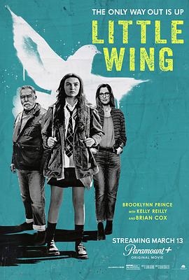 小翅膀 Little Wing.2024 字幕下载