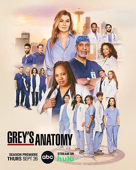 实习医生格蕾 第二十一季 Grey's Anatomy Season 21.2024 字幕下载