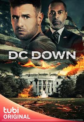 华盛顿陷落 DC Down.2023 字幕下载