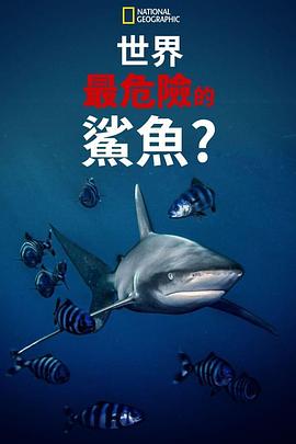 世上最危险的鲨鱼？ World's Most Dangerous Shark?.2021 字幕下载