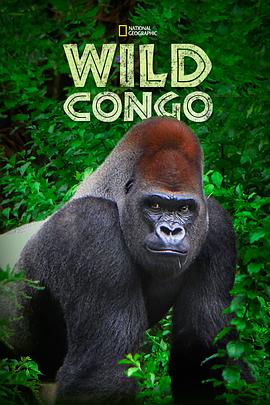 狂野刚果 Wild Congo.2014 字幕下载