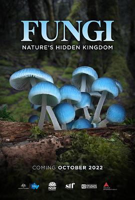 真菌的神秘王国 Fungi: The Web of Life.2022 字幕下载