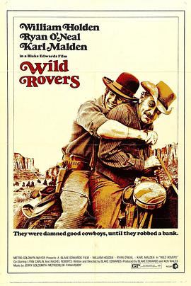 戎马闯天关 Wild Rovers.1972 字幕下载