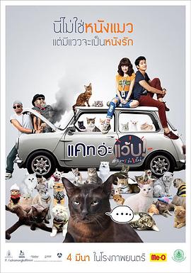 擅离职守的猫咪 Cat อ่ะ แว๊บ!.2015 字幕下载