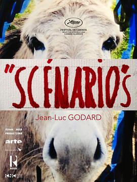电影《剧本》的电影预告片介绍 Exposé du film annonce du film “Scénario”.2024 字幕下载