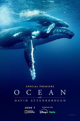 大卫·爱登堡：海洋 David Attenborough: Ocean.2025 字幕下载