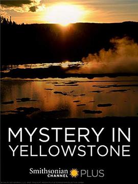 黄石公园之谜 Mystery in Yellowstone.2015 字幕下载