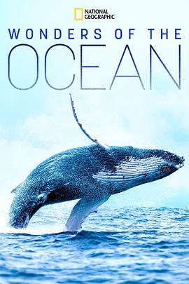 海洋奇境 Wonders of the Ocean.2019 字幕下载