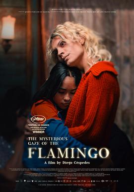 弗拉明戈的神秘眼神 La misteriosa mirada del flamenco.2025 字幕下载
