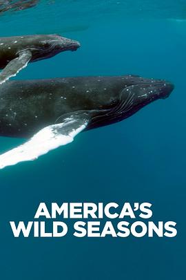 美国荒野的季节 America's Wild Seasons.2019 字幕下载