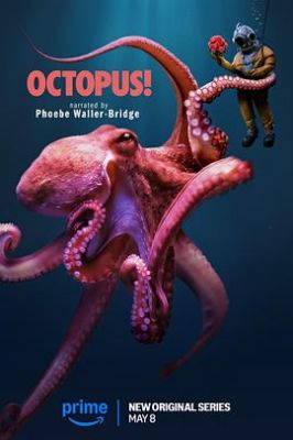 章鱼！ Octopus!.2025 字幕下载