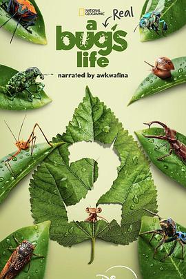 虫虫历险记 第二季 A Real Bug's Life Season 2.2025 字幕下载