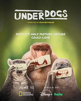 失败者 Underdogs.2025 字幕下载