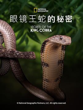 眼镜蛇的秘密 Secrets of the King Cobra.2010 字幕下载