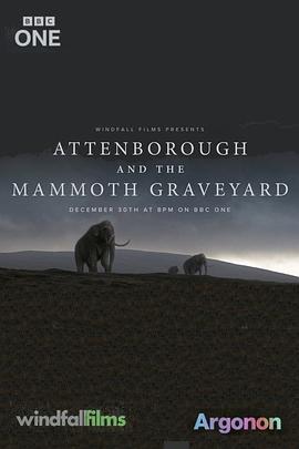 爱登堡与猛犸墓地 Attenborough and the Mammoth Graveyard.2021 字幕下载