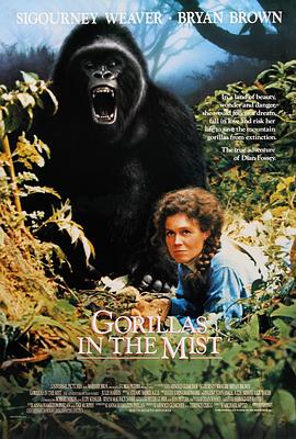 迷雾森林十八年 Gorillas in the Mist: The Story of Dian Fossey.1988 字幕下载