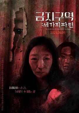 禁区：三个碎片 금지구역: 세 가지 파편.2025 字幕下载