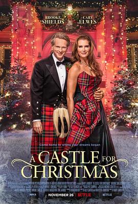 圣诞城堡 A Castle for Christmas.2021 字幕下载