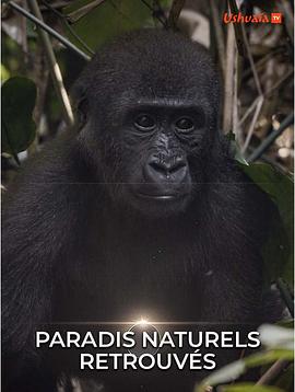 天堂保护区 Naturparadiese mit Zukunft.2019 字幕下载