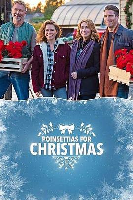 Poinsettias for Christmas .2018 字幕下载
