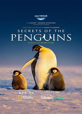 企鹅之谜 Secrets of the Penguins.2025 字幕下载