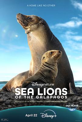 海狮利奥环岛记 Sea Lions of the Galápagos.2025 字幕下载