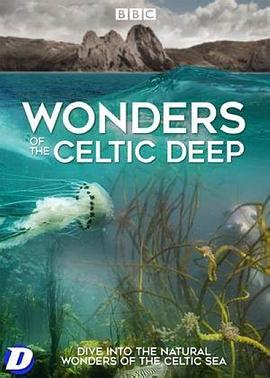 凯尔特深海奇观 第一季 Wonders of the Celtic Deep Season 1.2021 字幕下载