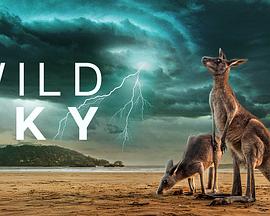 狂野天空 Wild Sky Season 1.2025 字幕下载