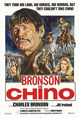 不羁的野马 Chino.1973 字幕下载