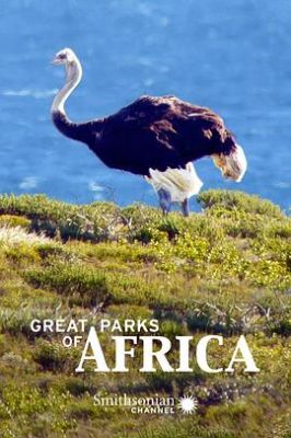 了不起的非洲公园 第二季 Great Parks of Africa Season 2.2017 字幕下载