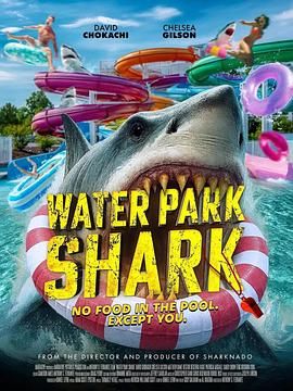 Water Park Shark .2026 字幕下载