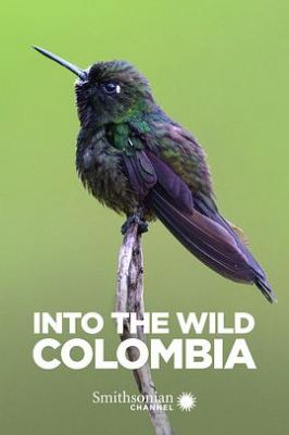 走进野外：哥伦比亚 Into the Wild: Colombia.2018 字幕下载
