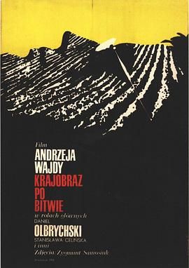 战后的大地 Krajobraz po bitwie.1970 字幕下载