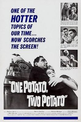 天伦泪 One Potato, Two Potato.1964 字幕下载