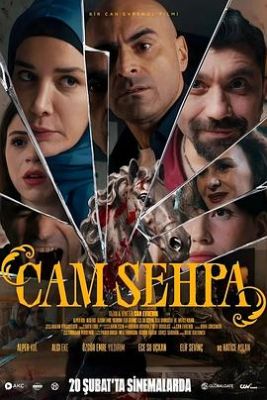 咖啡桌 Cam Sehpa.2026 字幕下载