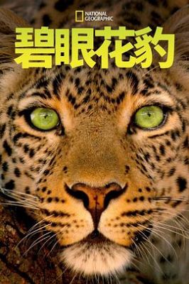 碧眼花豹 Jade Eyed Leopard.2020 字幕下载