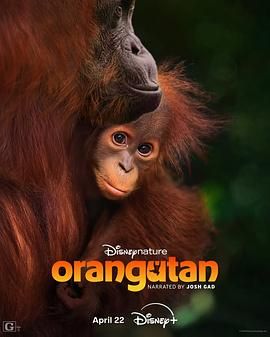 红毛猩猩 Orangutan.2026 字幕下载