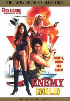 执法女先锋 Enemy Gold.1993 字幕下载