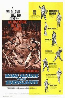 穿过沼泽 Wind Across the Everglades.1958 字幕下载