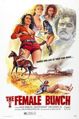 女群 The Female Bunch.1971 字幕下载