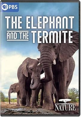 大象和白蚁 The Elephant and the Termite.2021 字幕下载