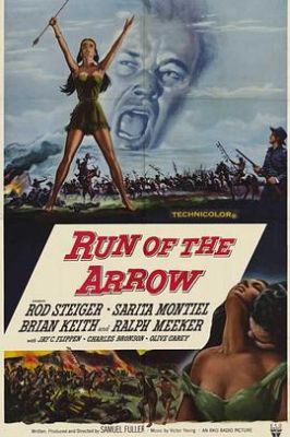 飞箭 Run of the Arrow.1957 字幕下载