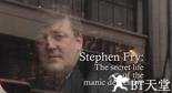 躁郁症的那点事 The Secret Life of the Manic Depressive.2006 字幕下载