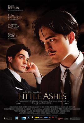 少许灰烬 Little Ashes.2008 字幕下载