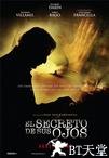 谜一样的双眼 El secreto de sus ojos.2009 字幕下载