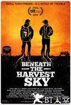 收获的天空下 Beneath the Harvest Sky.2013 字幕下载