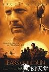 太阳泪 Tears of the Sun.2003 字幕下载